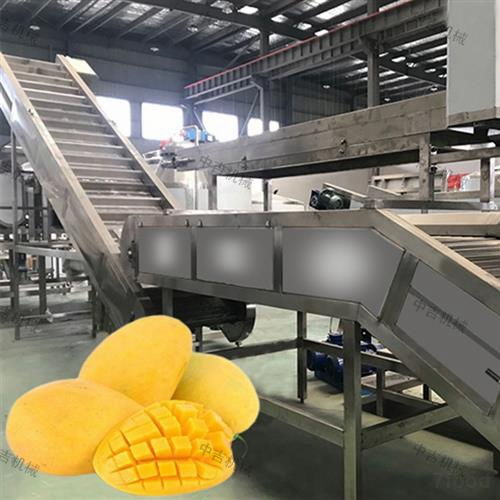 全方位解析 芒果飲料生產(chǎn)線的構(gòu)建、設(shè)備選型與工藝技術(shù)